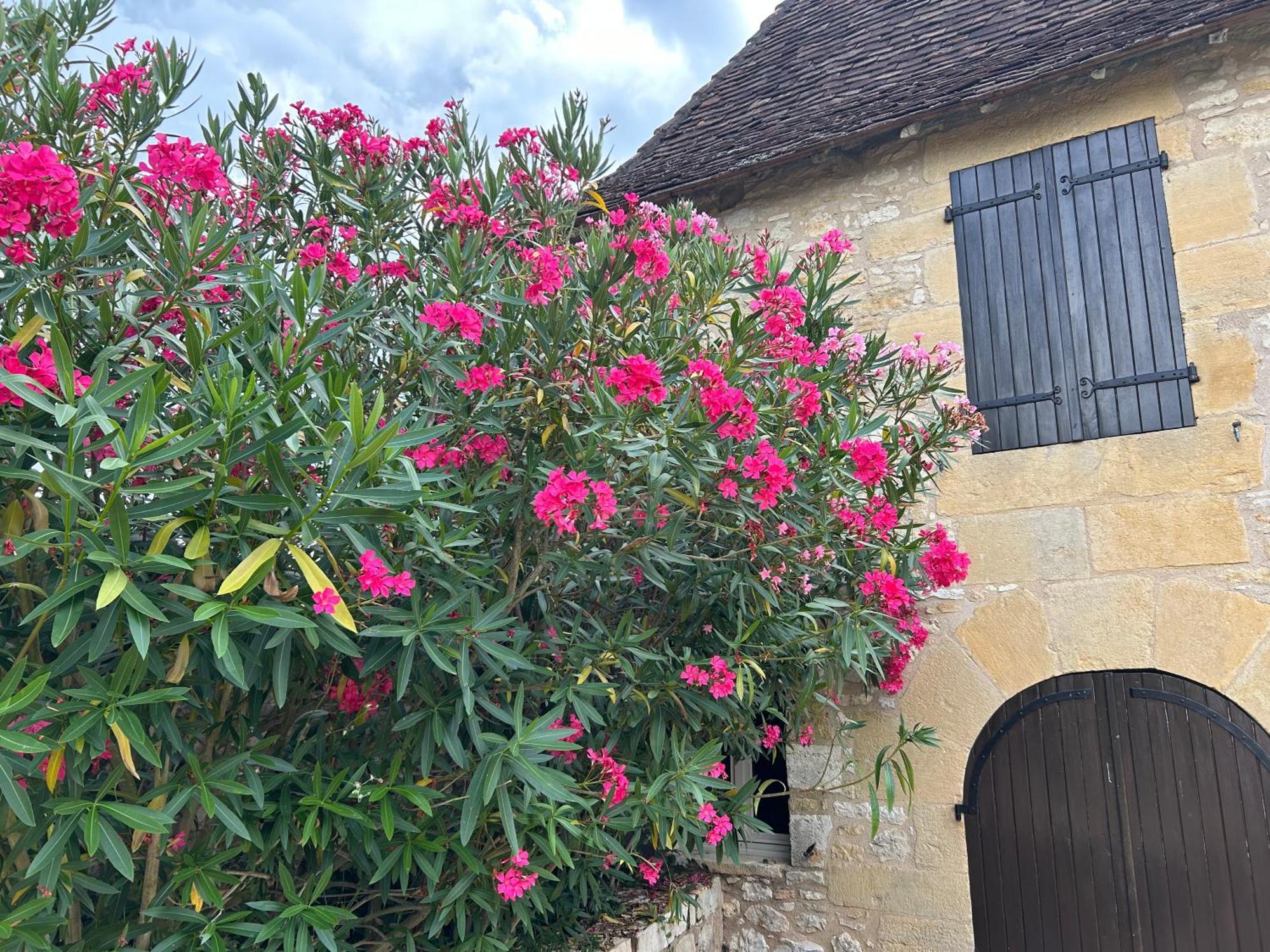 Demeure Du Vallon - Chambres D'Hotes De Charme Azerat Exterior photo