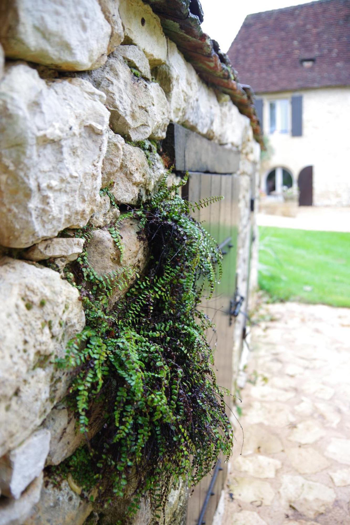 Demeure Du Vallon - Chambres D'Hotes De Charme Azerat Exterior photo